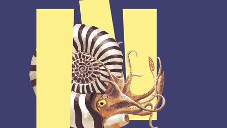 Unsichtbar? Tiere im Verborgenen | © Museum Luzern
